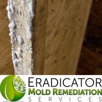 Eradicator Mold Remediation Services image 2